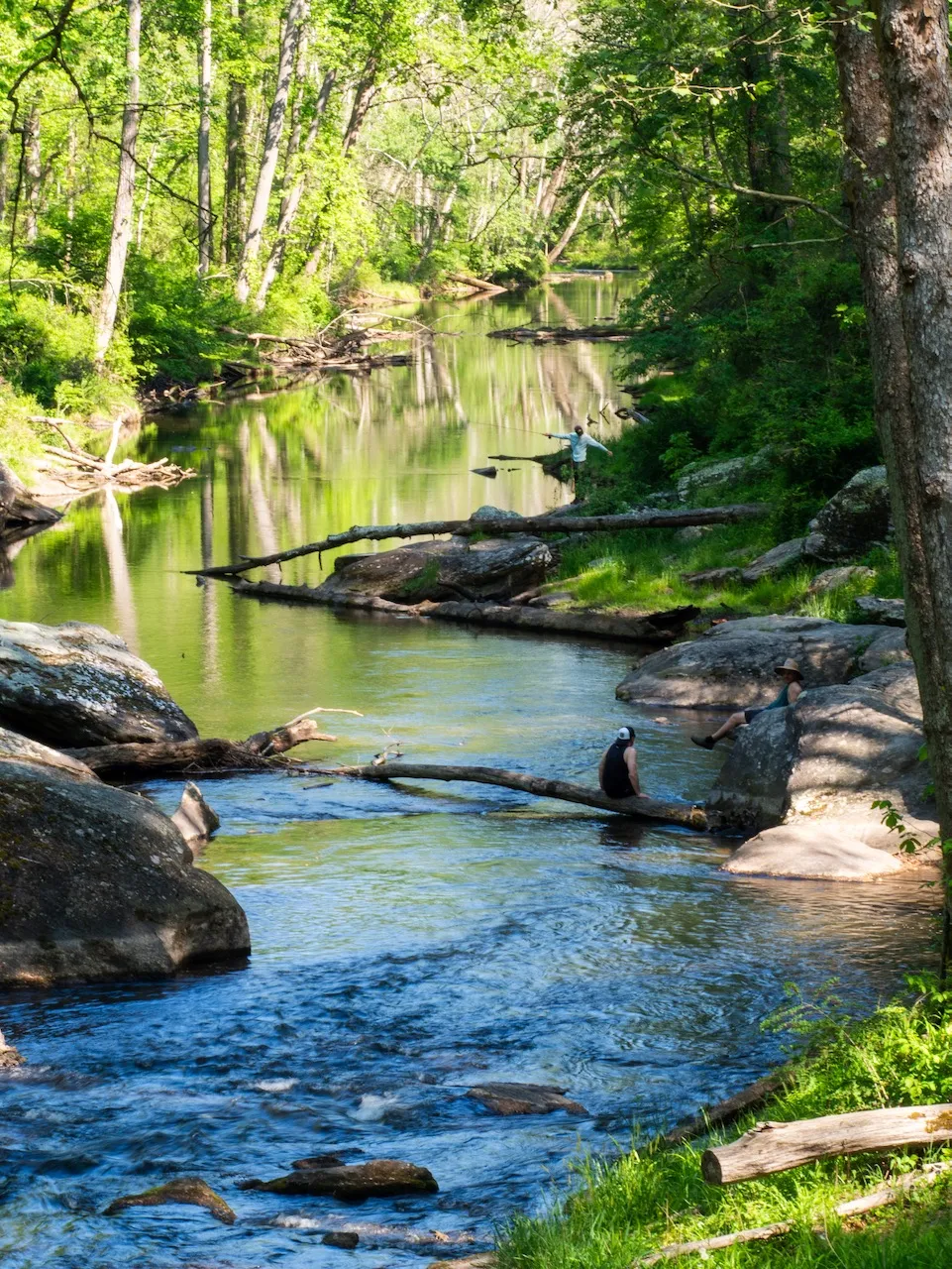 The lush view downstream.