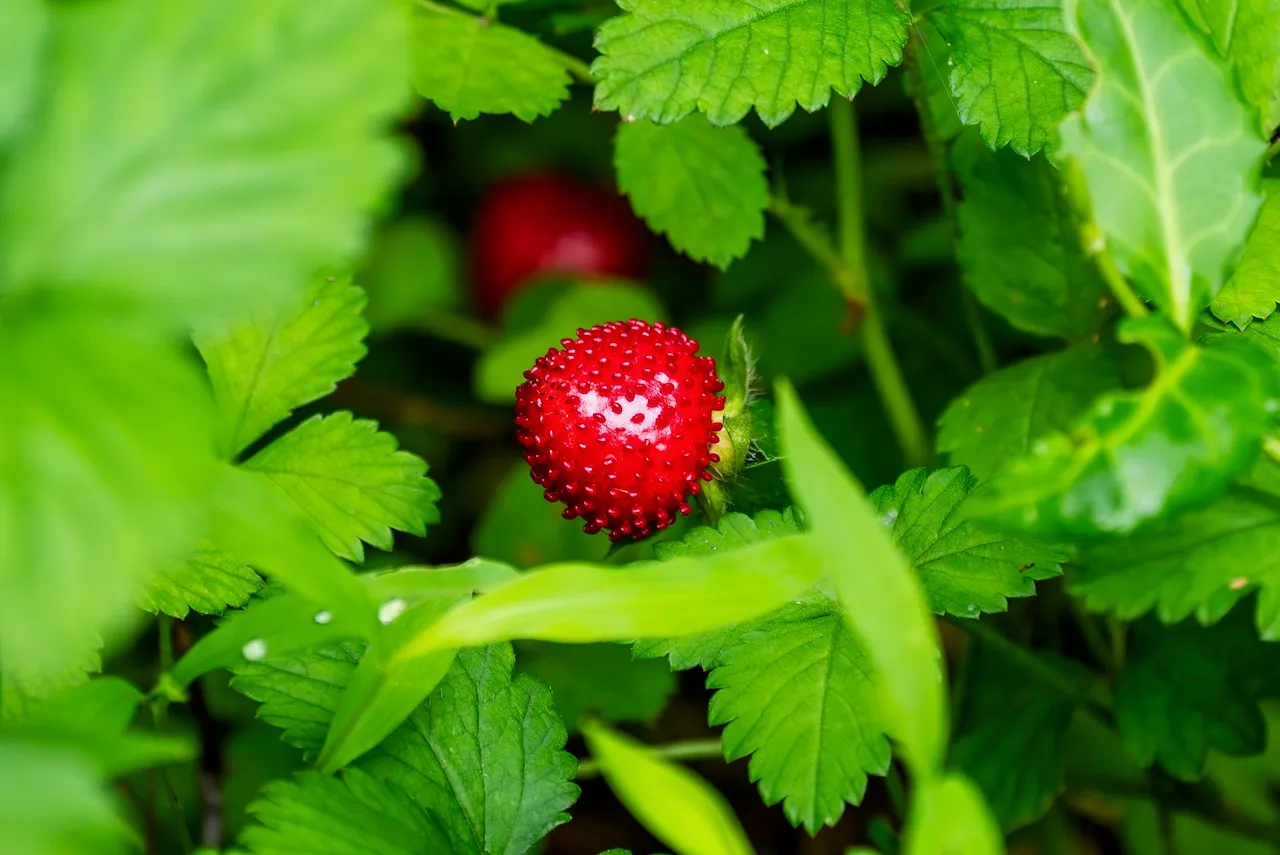 I'm a sucker for tiny pops of red.