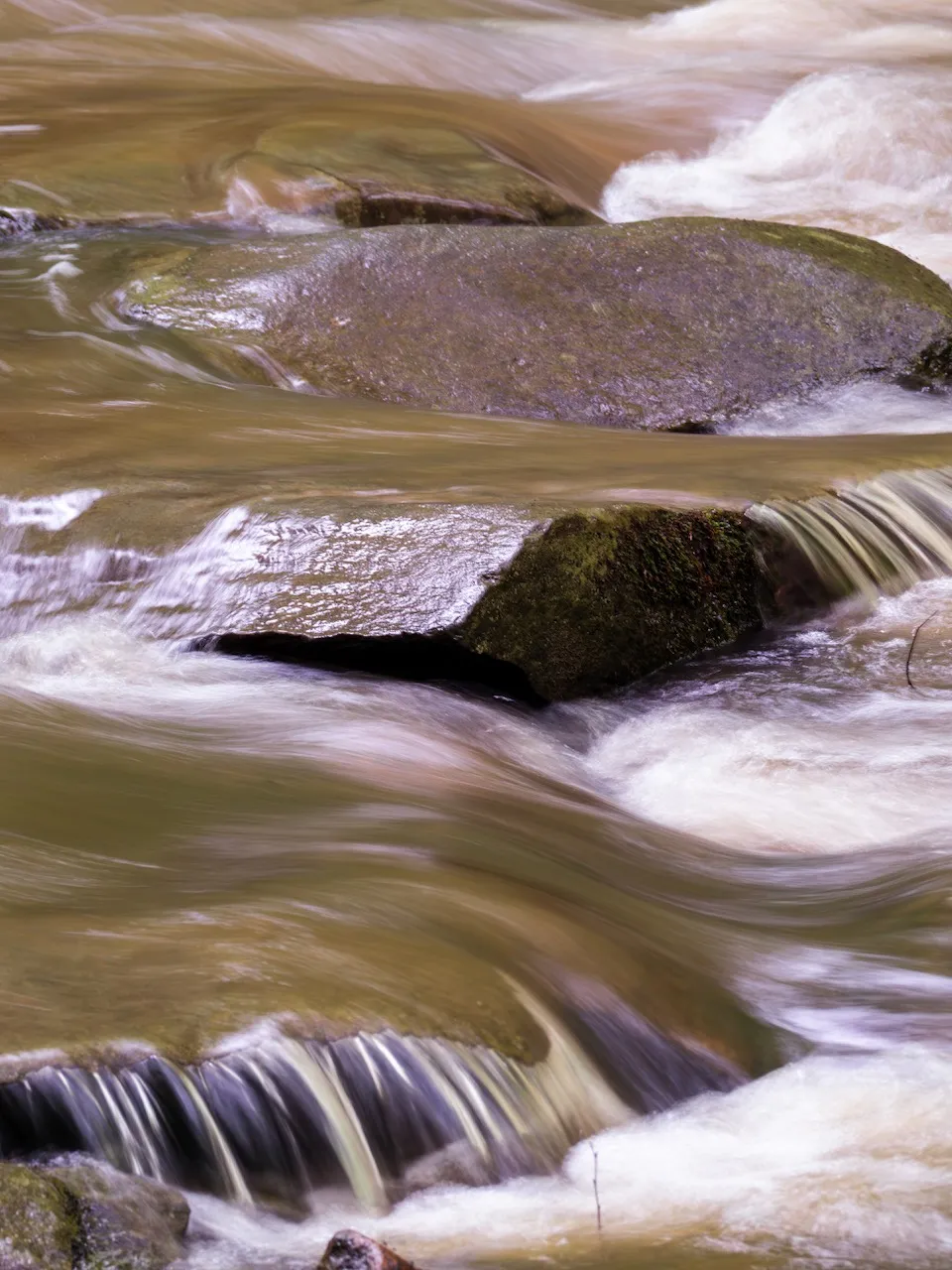 The usual walking path of rocks across the creek is closed for the day.