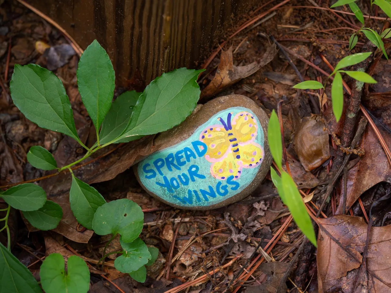 I mean, who doesn't love a yellow and blue butterfly?