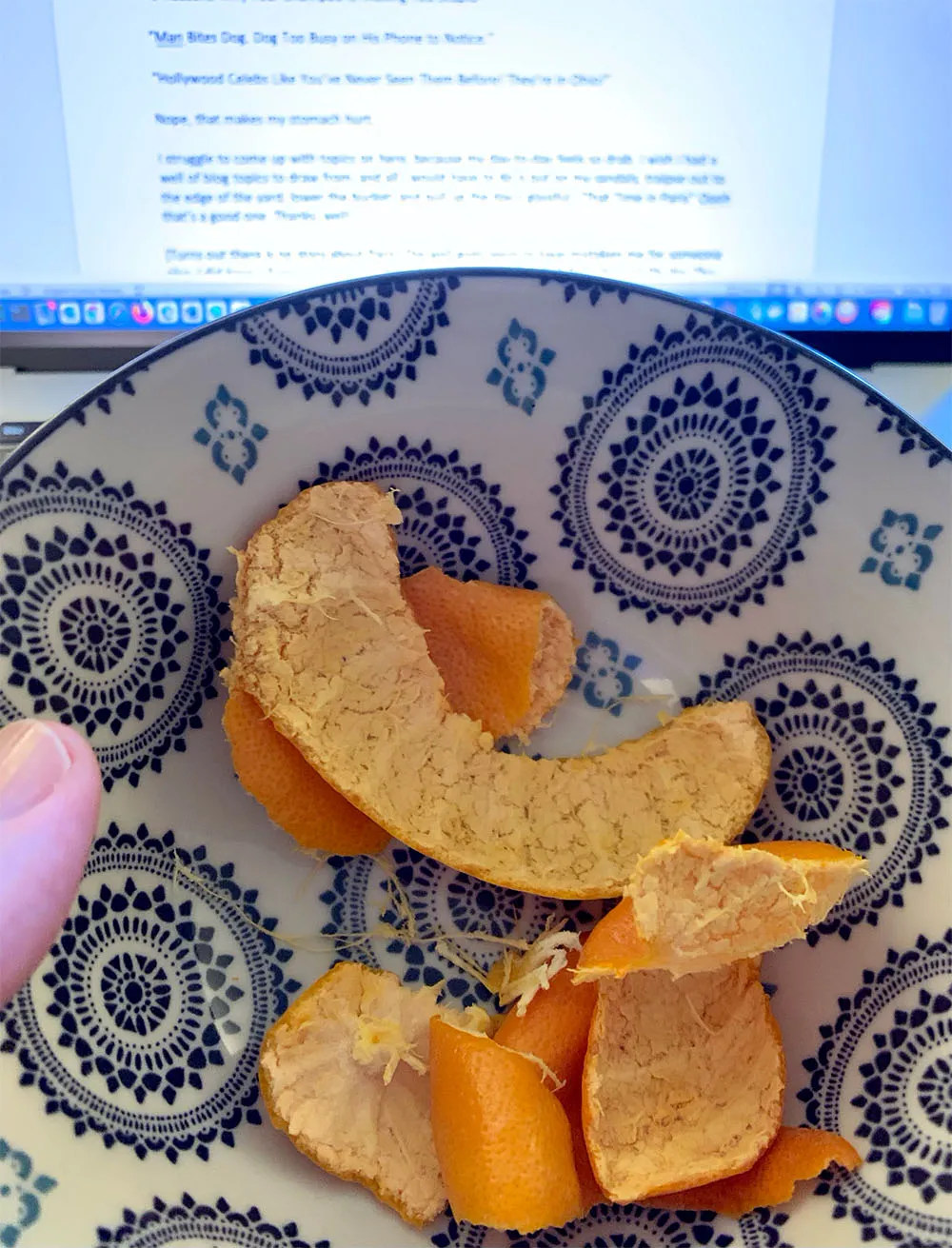 Some non-metaphorical clementine leavings.